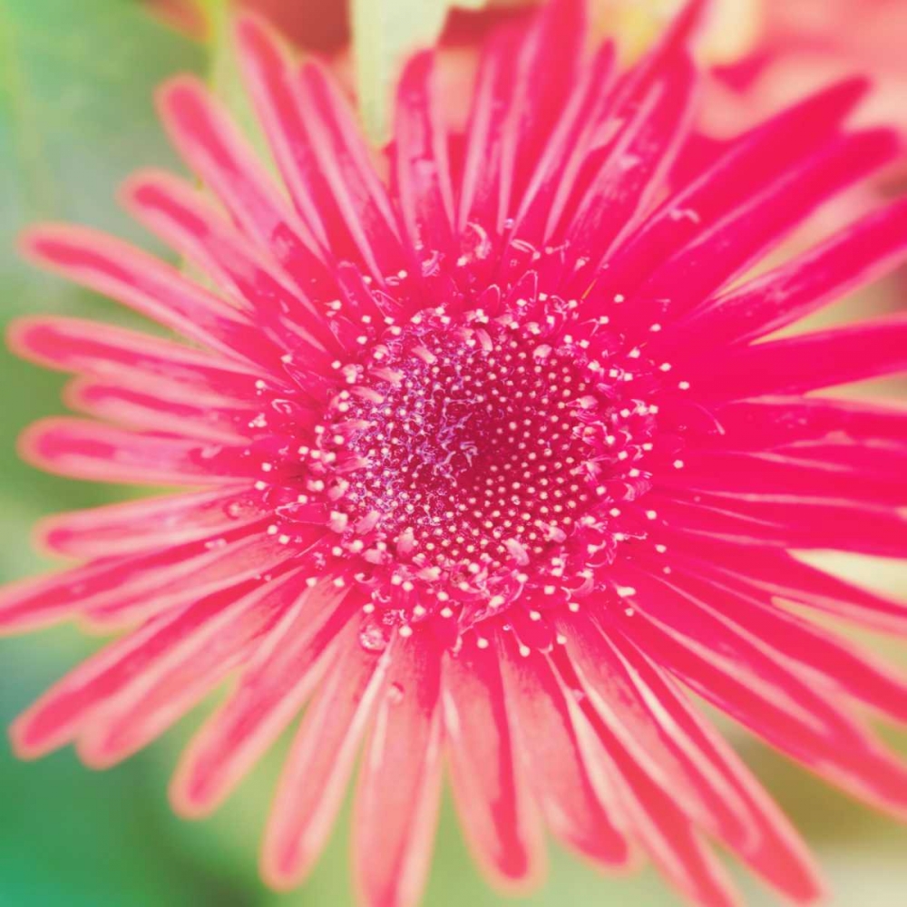 Similar wall art painting: 122652