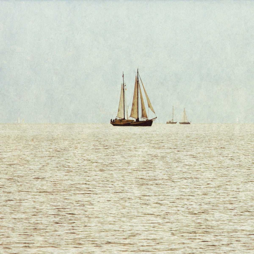 Art Print: Sail Boats I