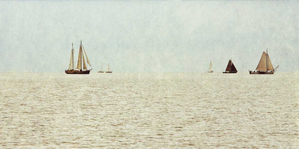 Art Print: Sail Boats