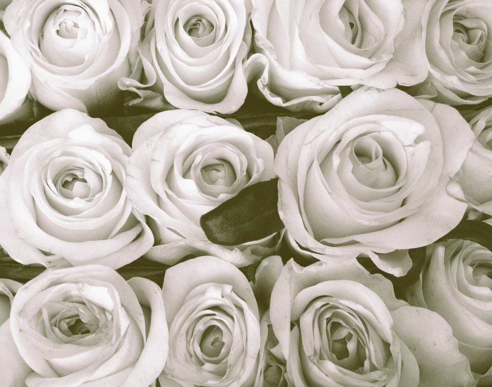 Similar wall art painting: 74052