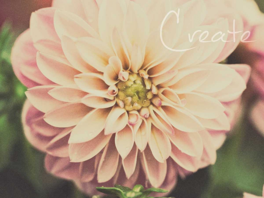 Wall Art Painting id:74313, Name: March Pink Filtered I, Artist: Bryant, Susan