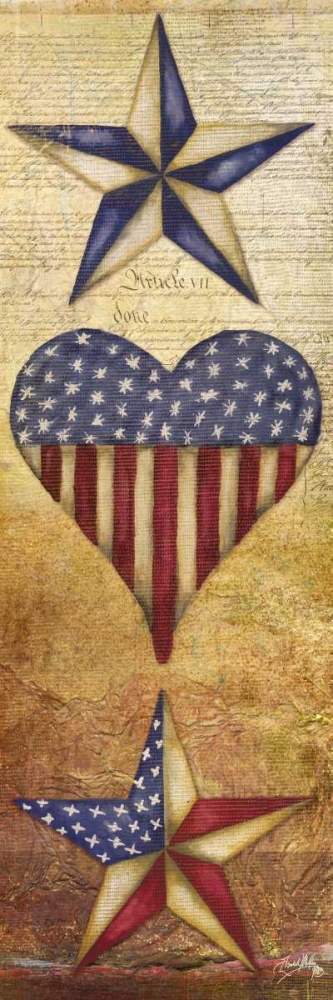 Wall art: America Stars II, by Medley, Elizabeth