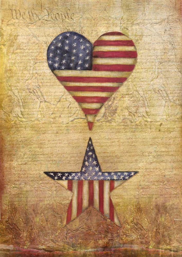 Wall art: America Stars Flag, by Medley, Elizabeth