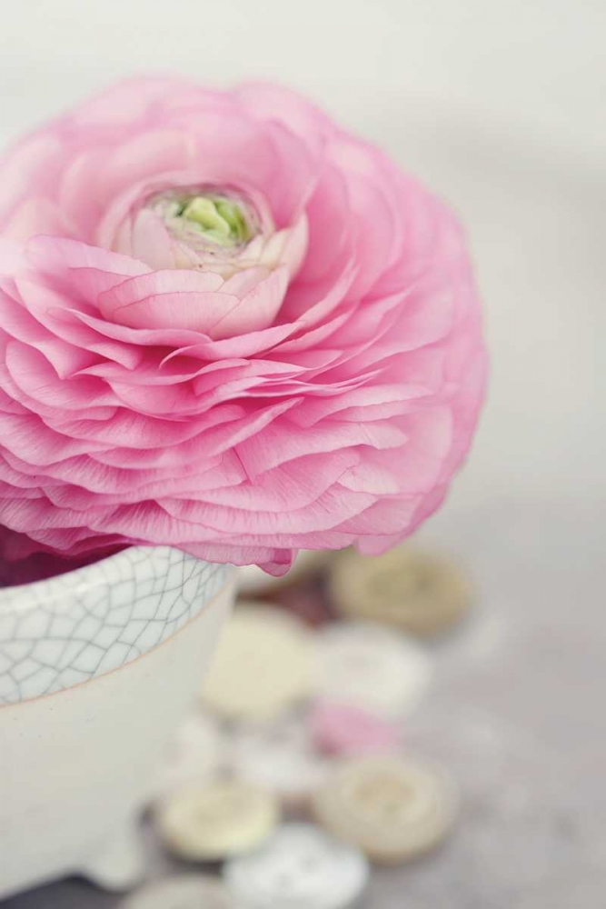 Art Print: Softy Elegant II