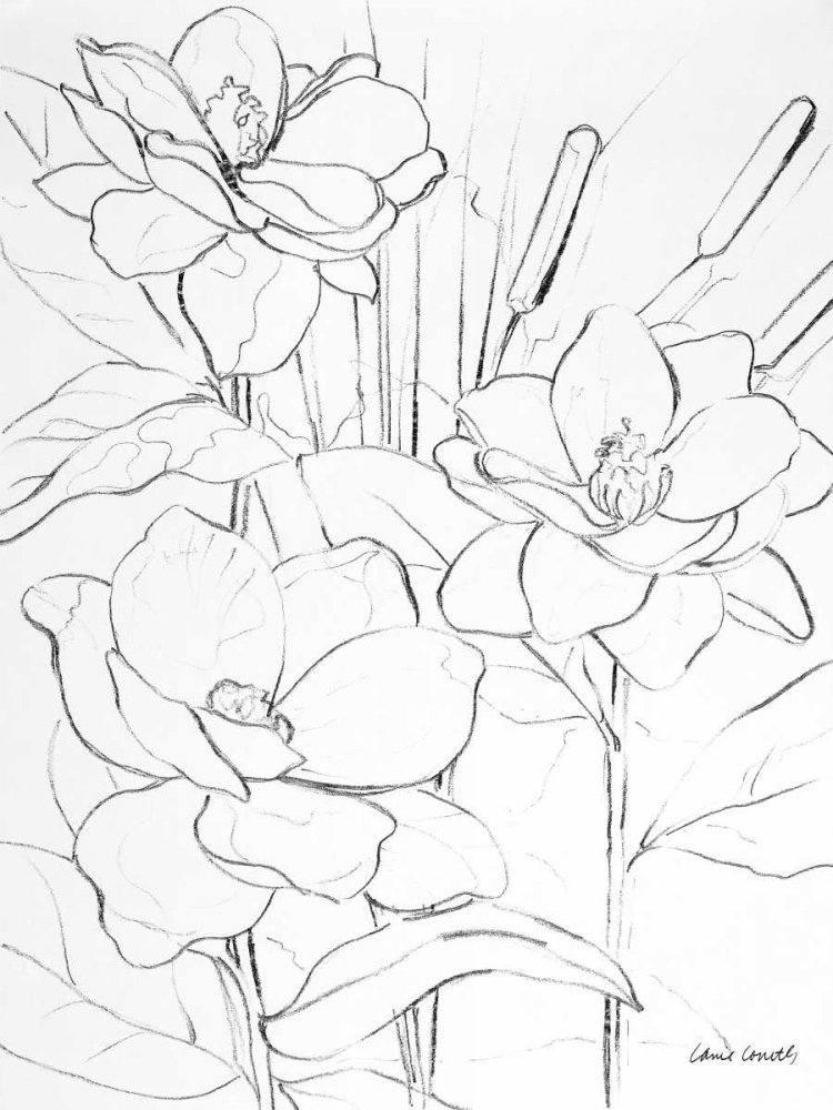 Wall art: Floral Sketch II, by Loreth, Lanie