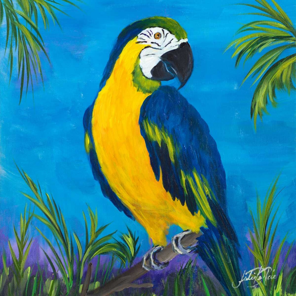 Wall Art Painting id:159310, Name: Island Birds Square II, Artist: DeRice, Julie