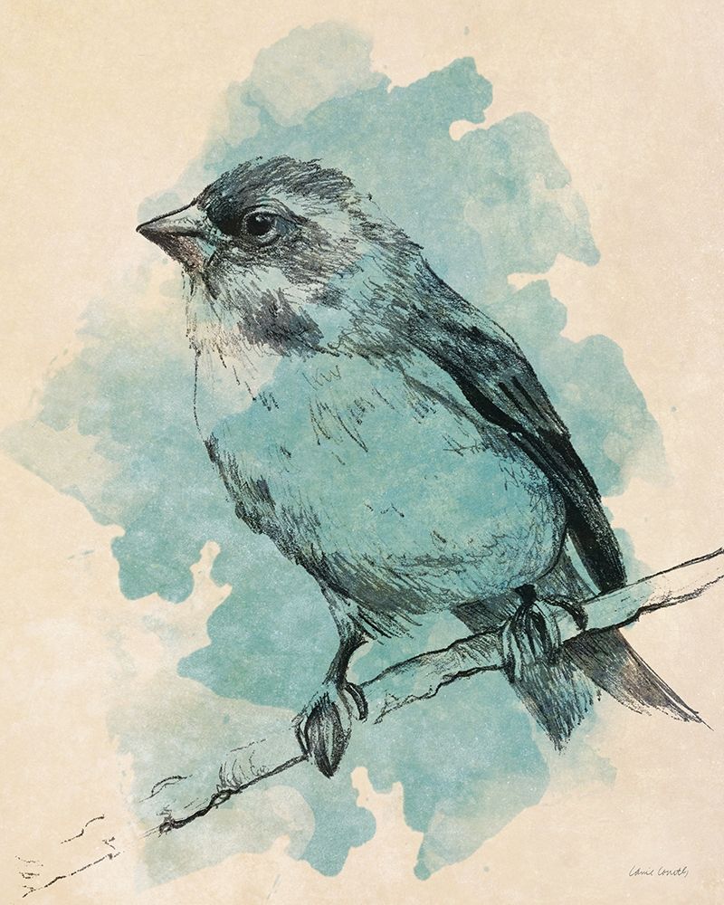 Art Print: Bird Study in Teal I