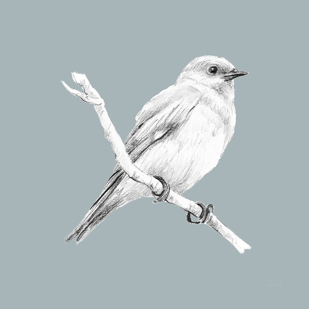 Art Print: Bird Study on Blue I