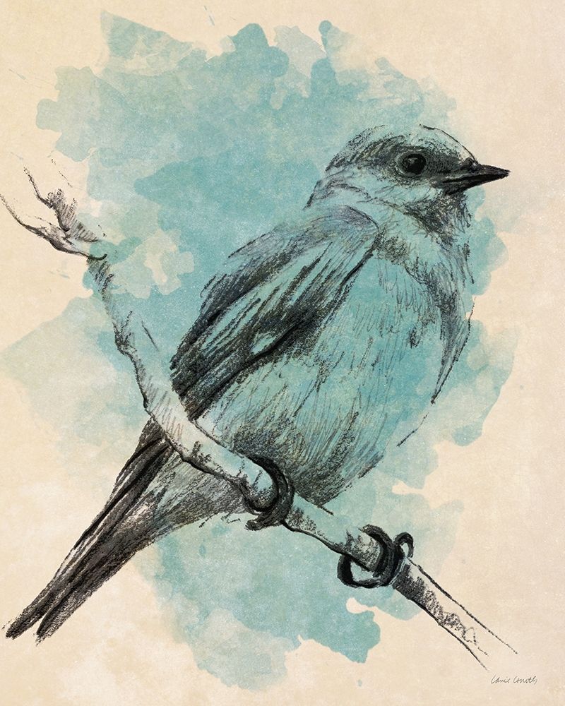 Art Print: Bird Study in Teal II