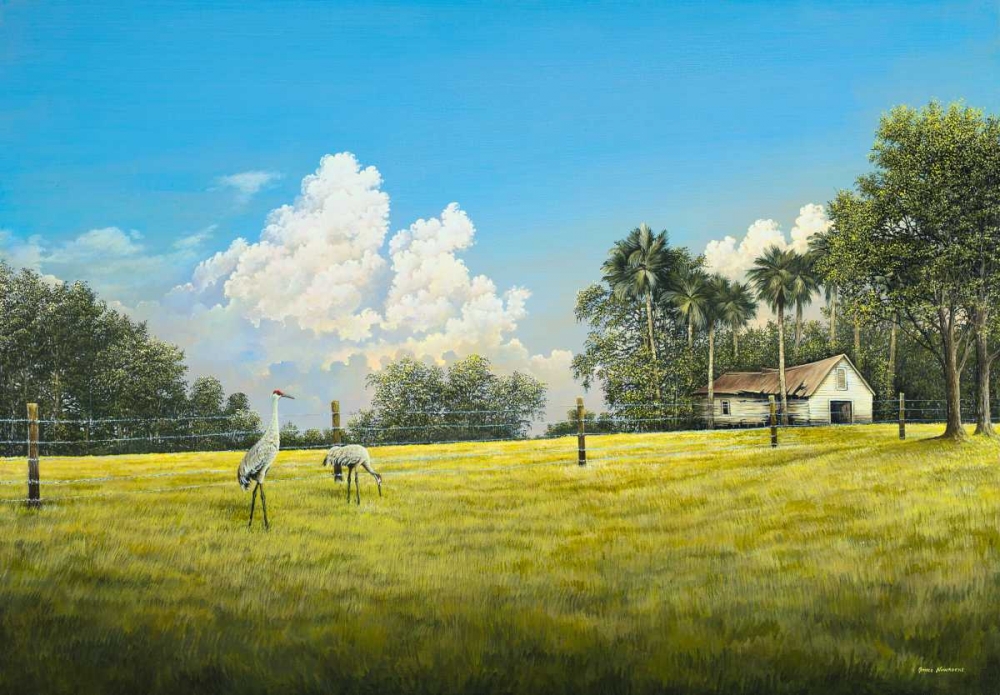 Art Print: Crane Field