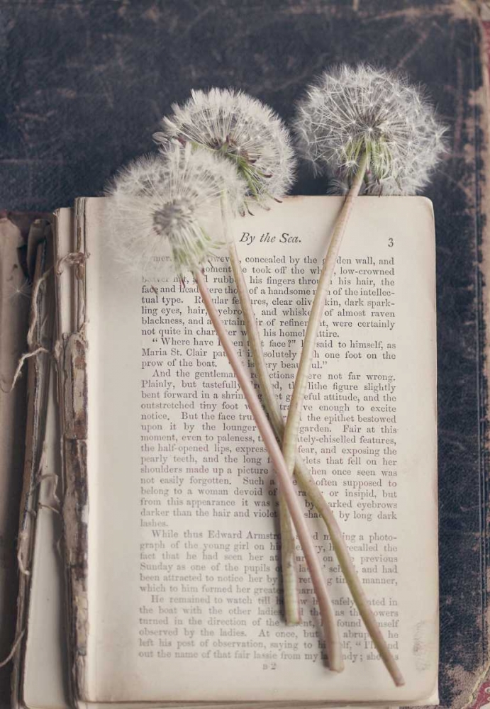 Art Print: By The Sea (Book)