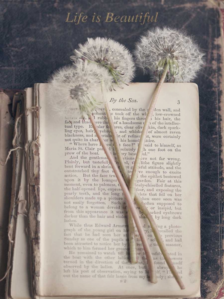 Art Print: Life is Beautiful