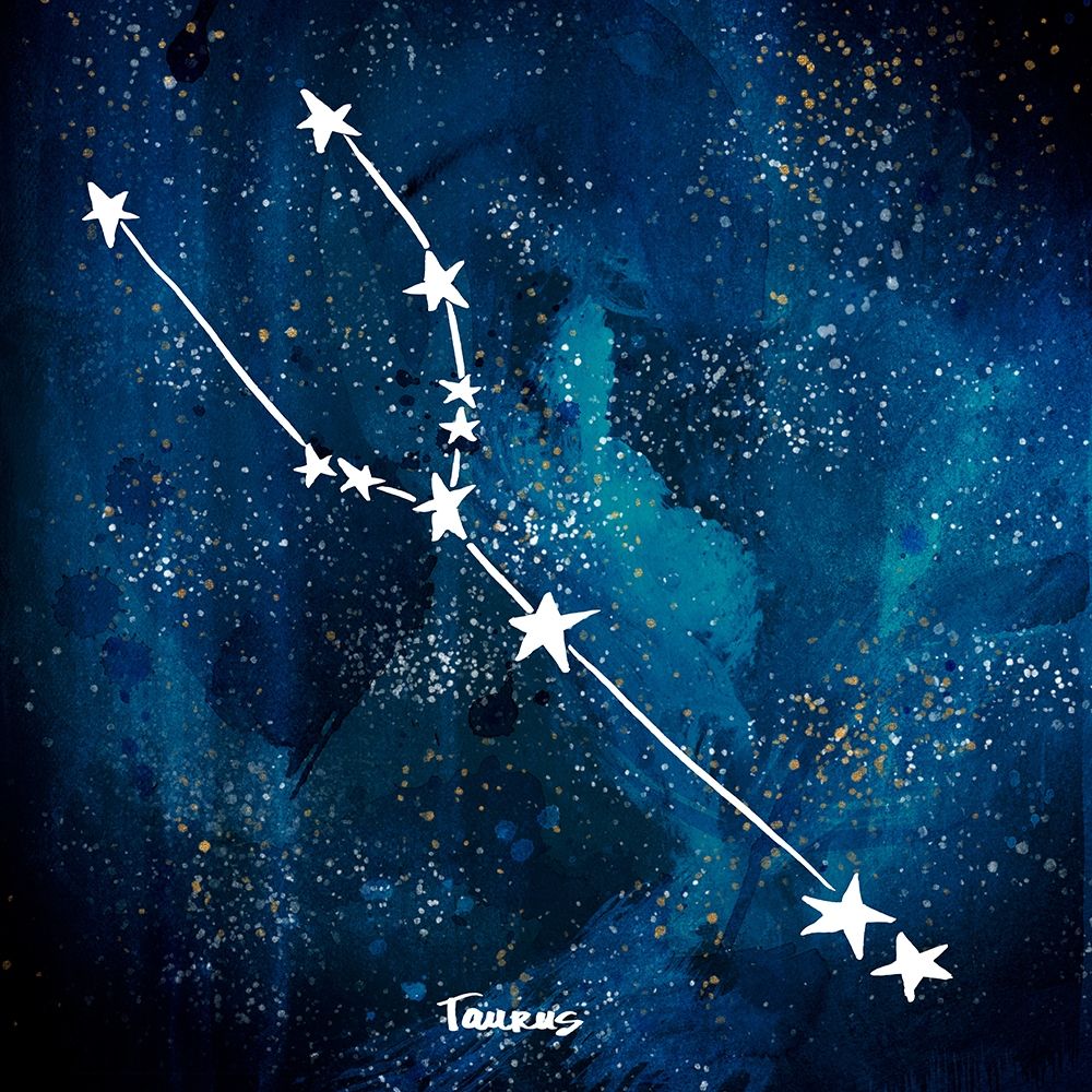 Wall art: Taurus, by Papa, Kat