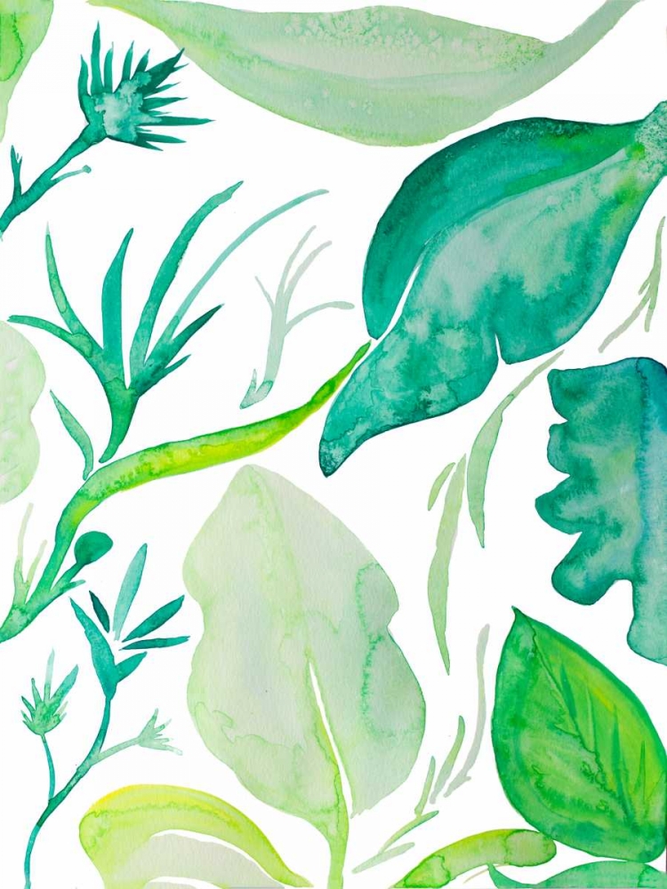 Art Print: Green Water Leaves II