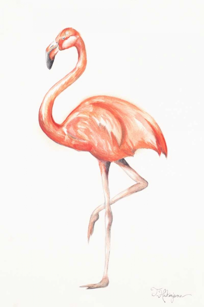 Wall Art Painting id:123835, Name: Flamingo Duo II, Artist: Hakimipour, Tiffany