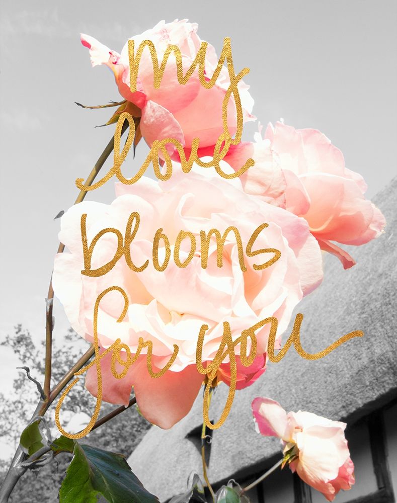 Wall Art Painting id:205252, Name: Love Blooms I, Artist: Navas, Emily