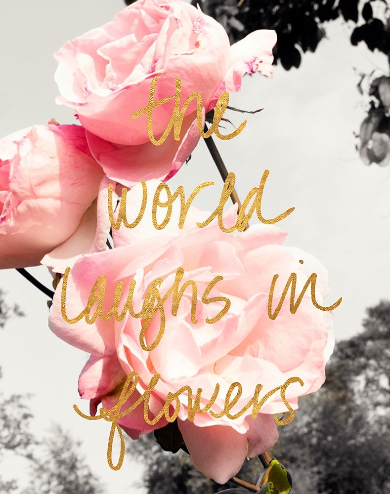 Wall Art Painting id:205257, Name: Love Blooms II, Artist: Navas, Emily