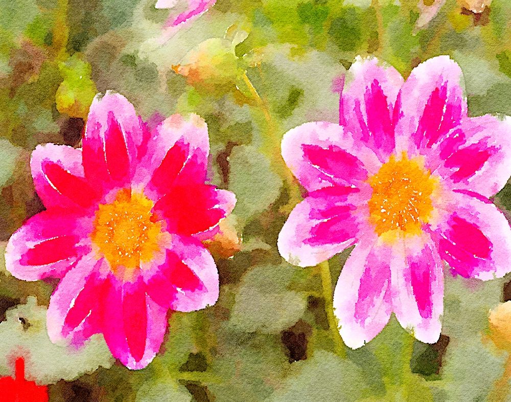 Wall Art Painting id:205256, Name: Last Spring II, Artist: Navas, Emily