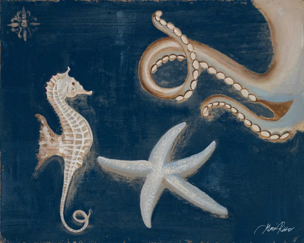 Wall Art Painting id:123903, Name: Coastal Life on Blue I, Artist: Ritter, Gina