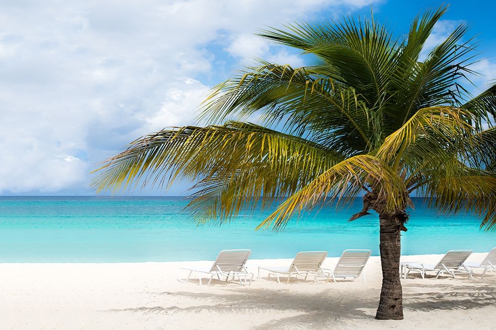 Wall Art Painting id:205397, Name: Relaxing Beach and Horizon, Artist: Bill Carson Photography