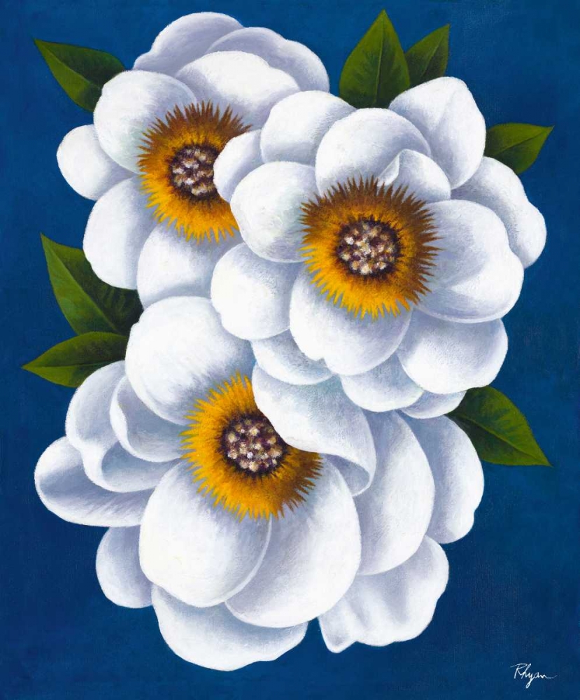 Wall Art Painting id:159666, Name: White Flowers on Blue II, Artist: Rhyan, Vivien