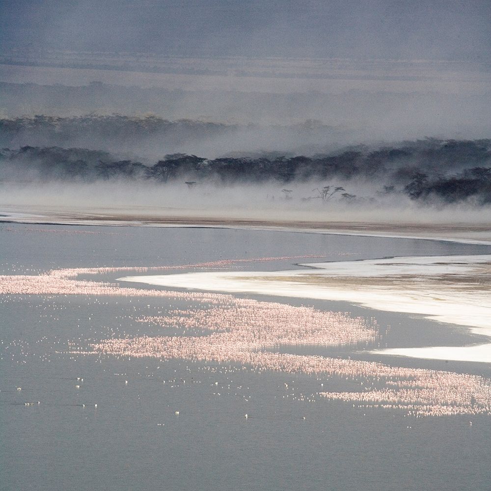 Similar wall art painting: 205500