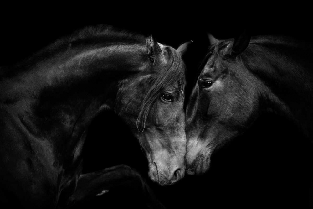 Similar wall art painting: 167718