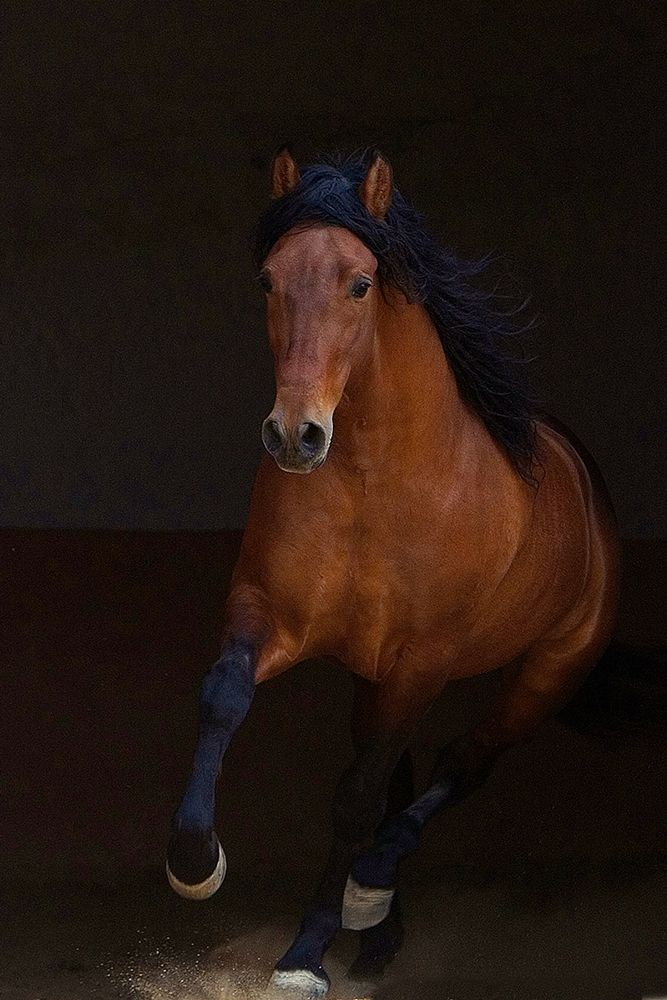 Similar wall art painting: 381306