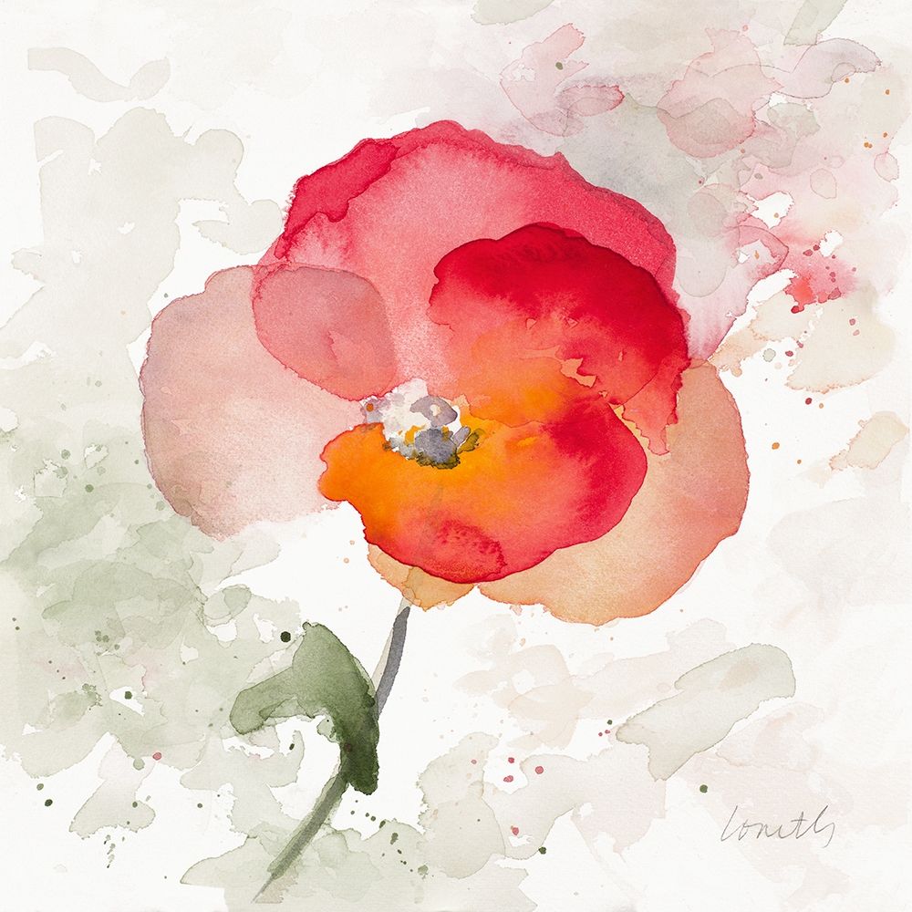 Wall Art Painting id:205594, Name: Translucent Poppy I, Artist: Loreth, Lanie