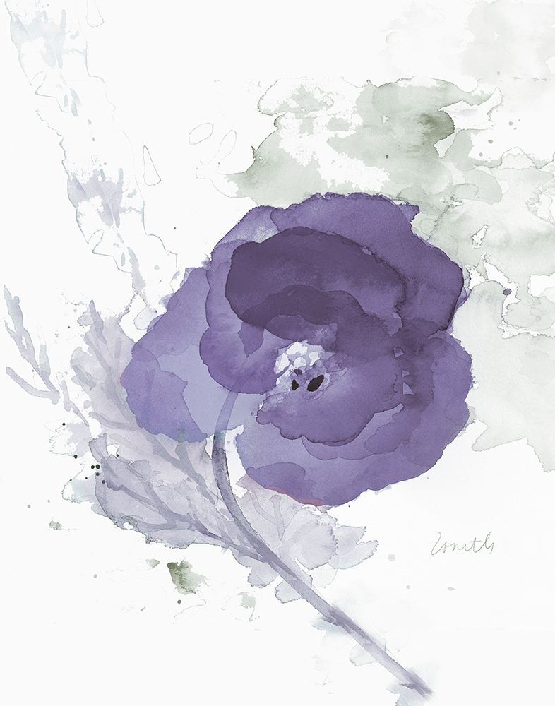 Wall Art Painting id:461459, Name: Translucent Mauve Poppy II, Artist: Loreth, Lanie