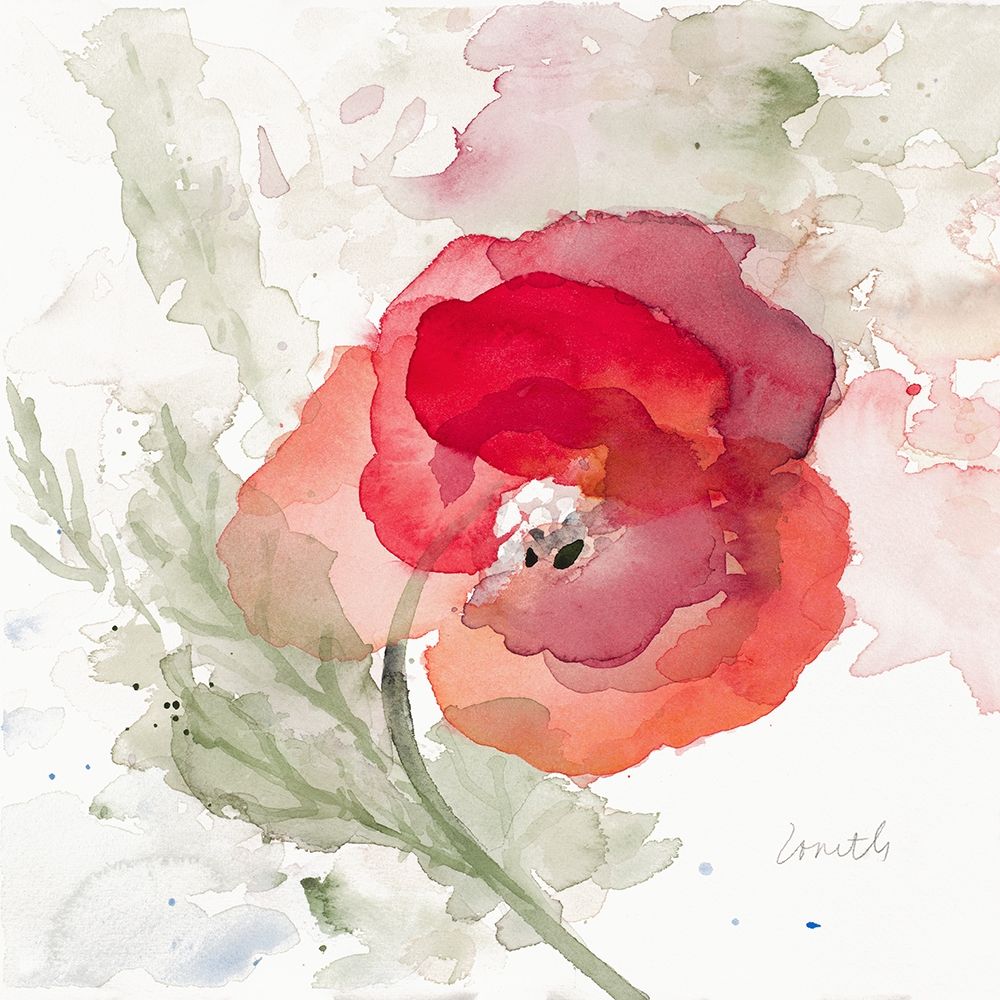 Wall Art Painting id:205595, Name: Translucent Poppy II, Artist: Loreth, Lanie