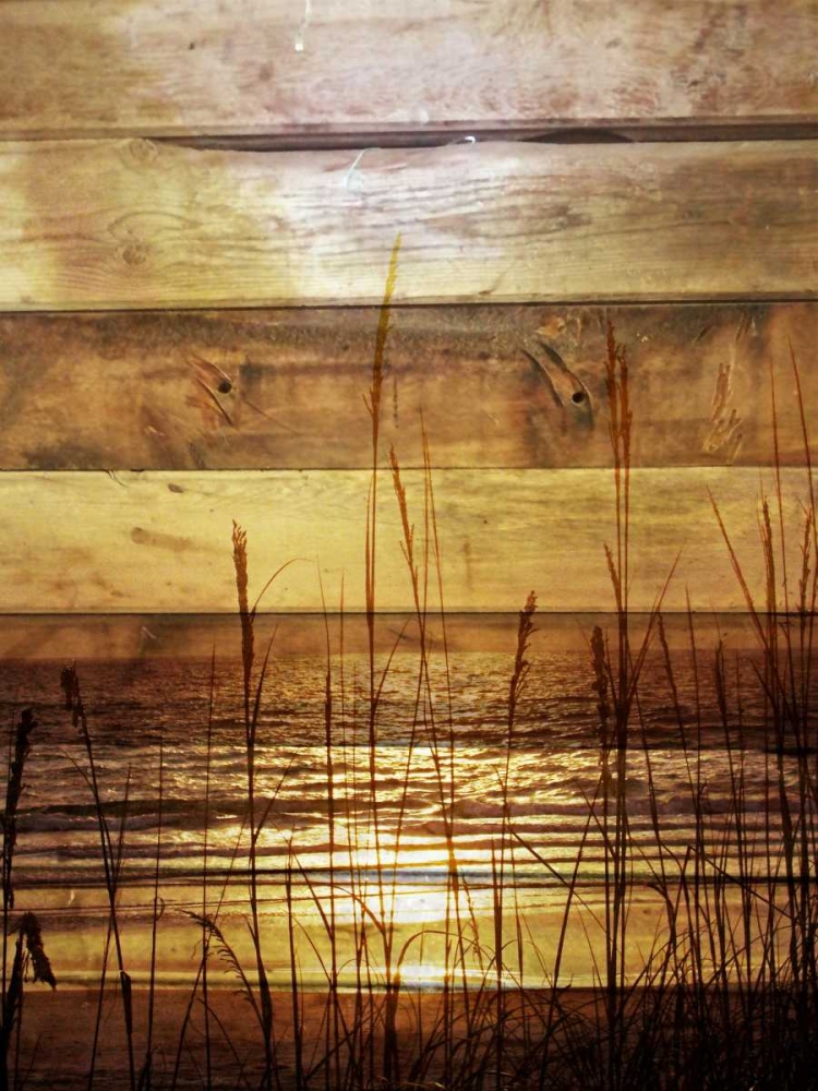 Wall art: By The Grass Sunset Wood, by Peck, Gail
