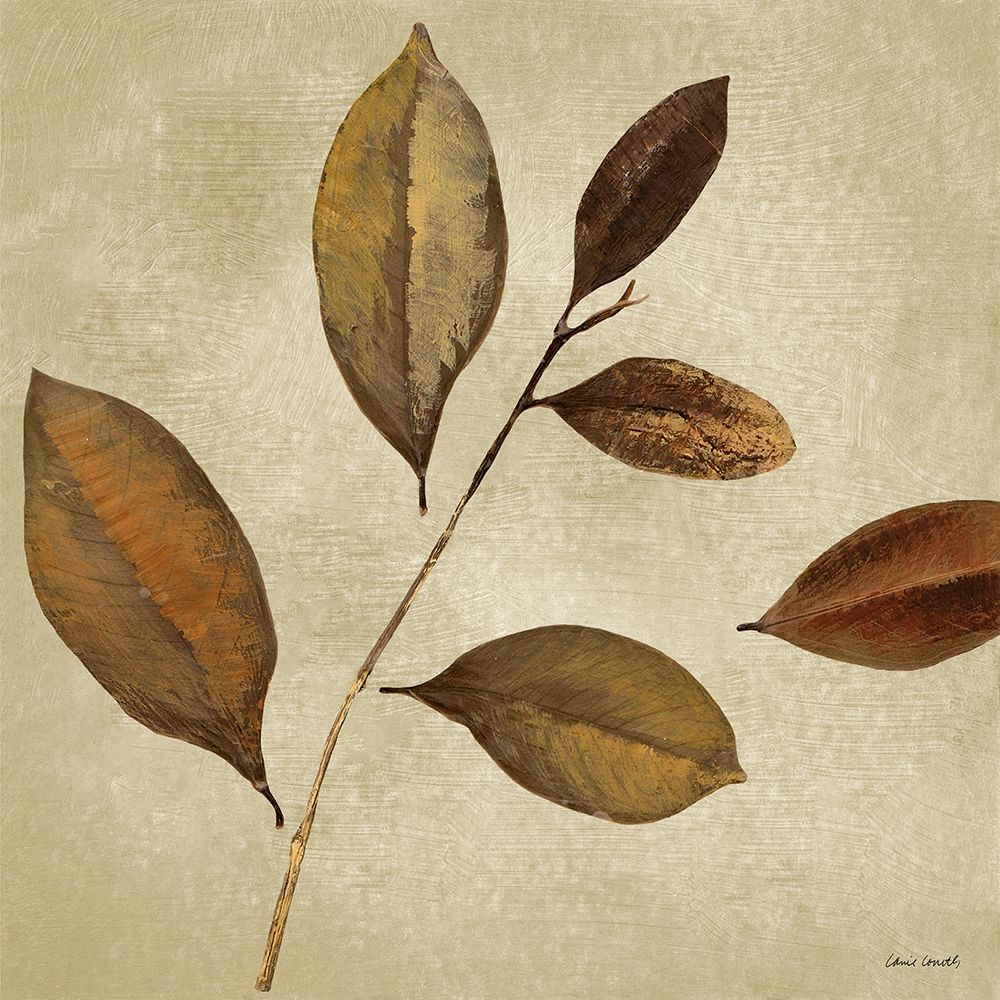 Art Print: Antiqued Leaves I