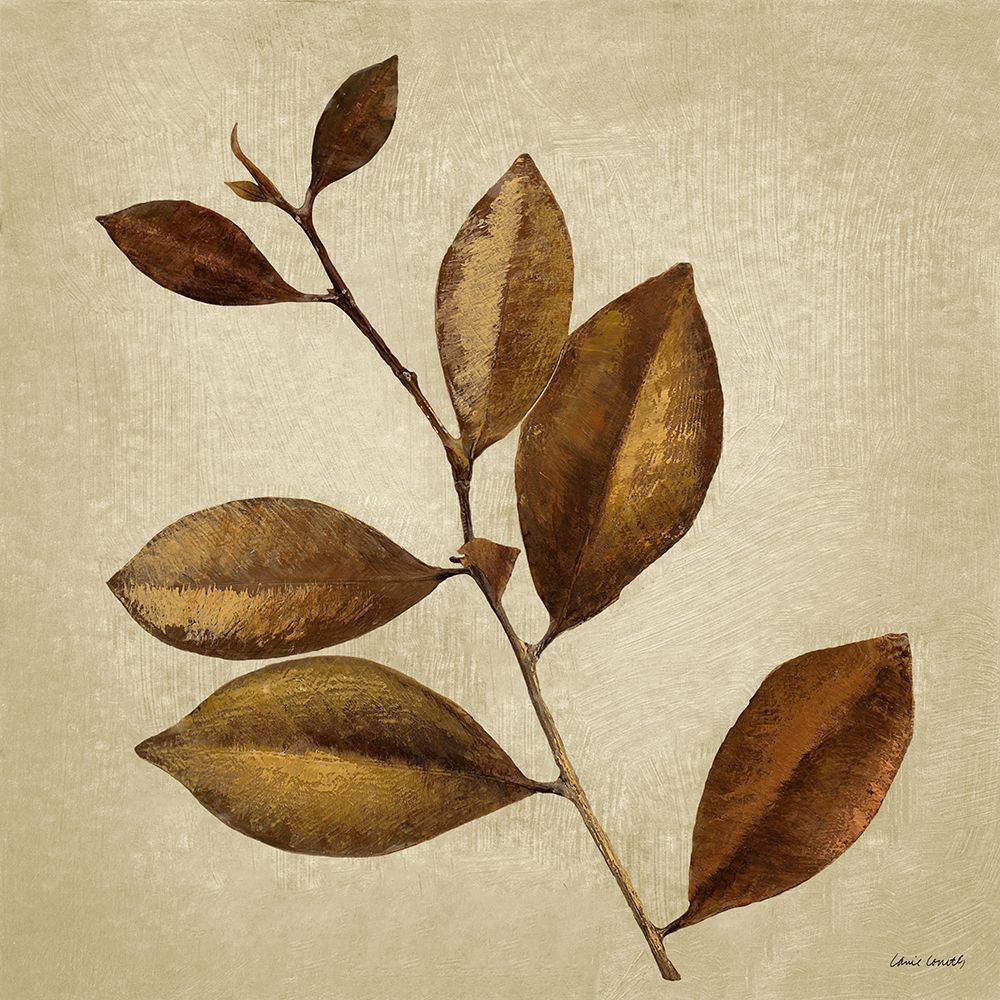 Wall art: Antiqued Leaves II, by Loreth, Lanie