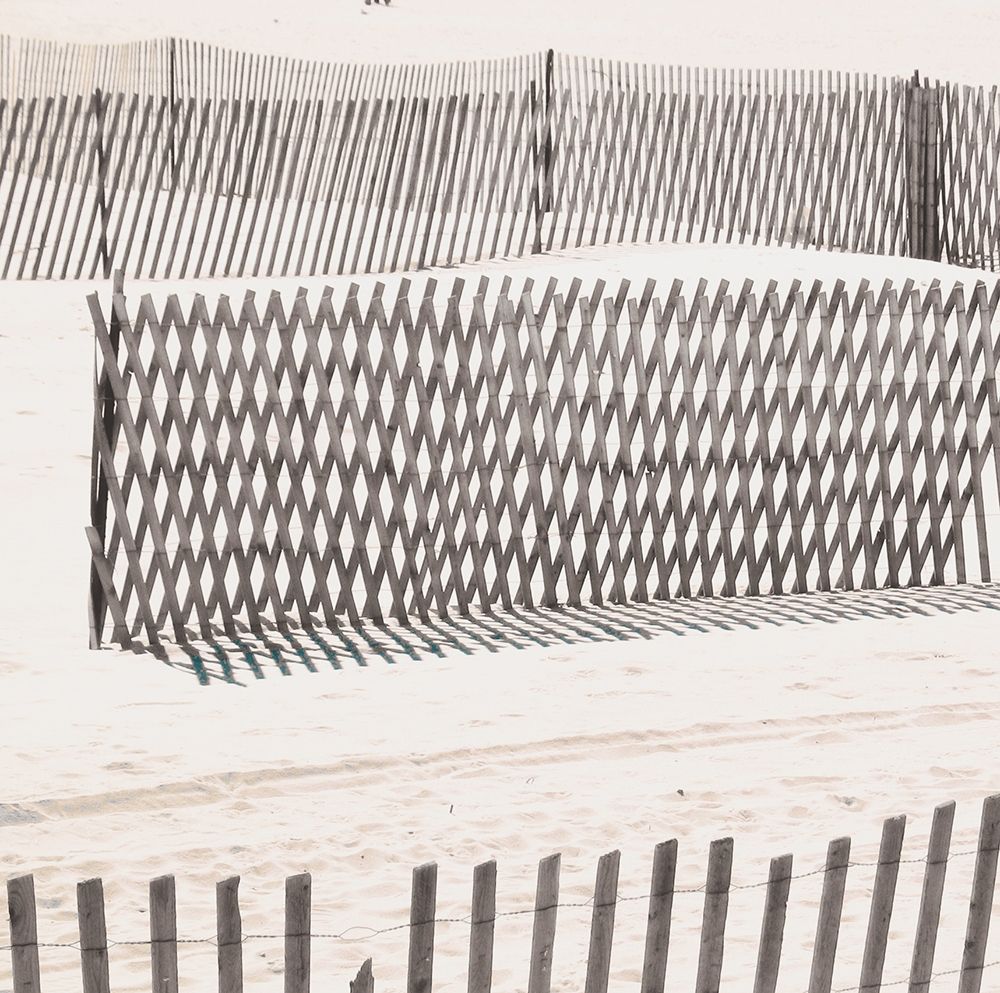 Wall Art Painting id:205895, Name: Beach Fence, Artist: Biscardi, Nicholas