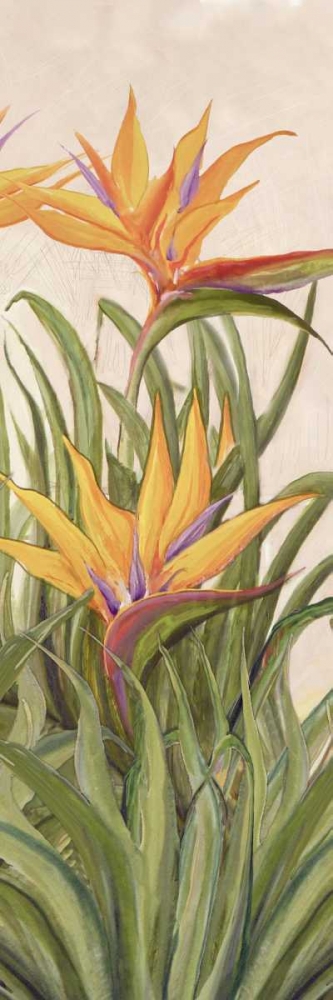 Art Print: Bird of Paradise Panel I