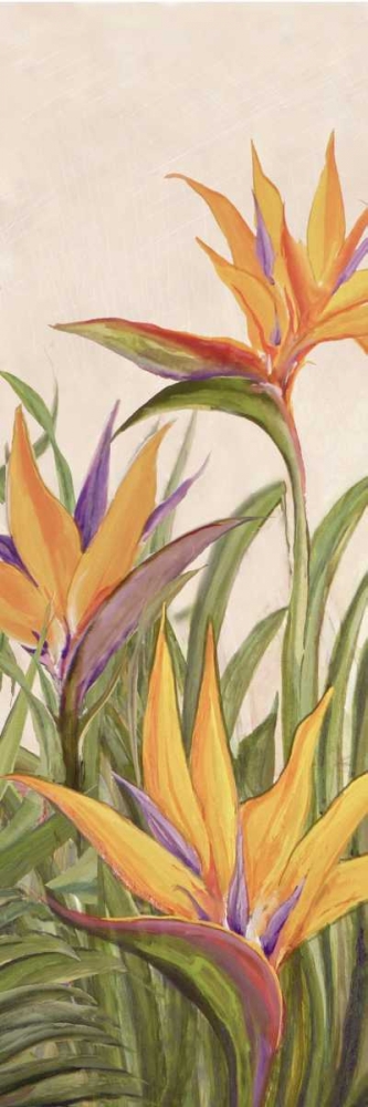 Art Print: Bird of Paradise Panel II