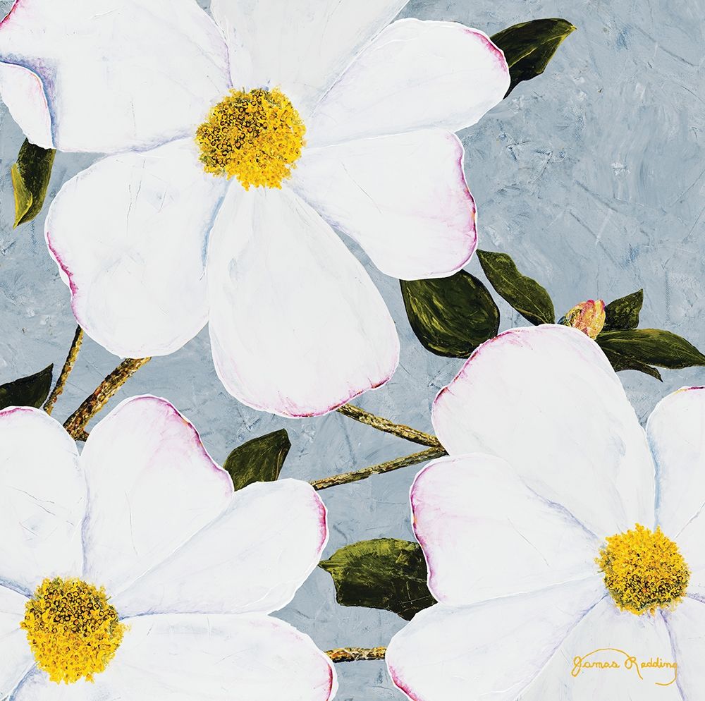 Wall Art Painting id:206066, Name: White Floral II, Artist: Redding, James