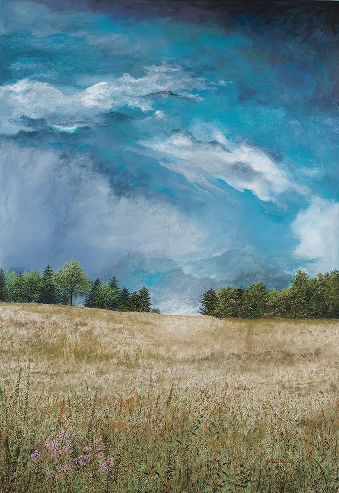 Wall Art Painting id:206067, Name: Approaching Storm (no barn), Artist: Redding, James