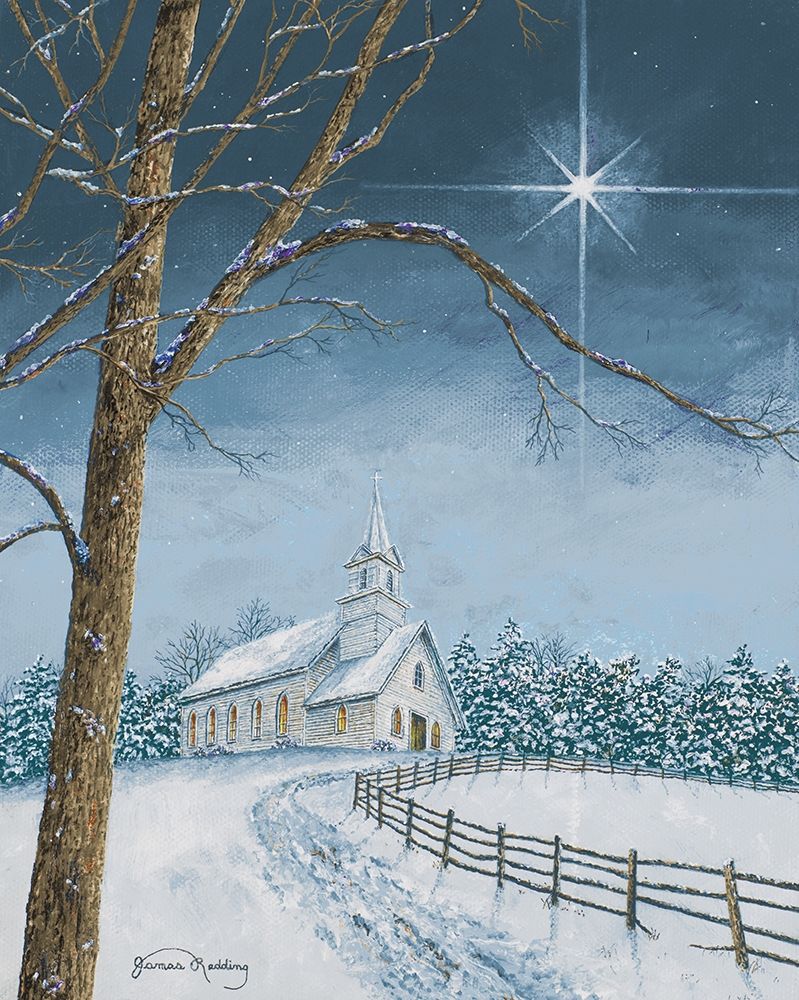 Wall Art Painting id:206074, Name: Shining Holiday Star, Artist: Redding, James