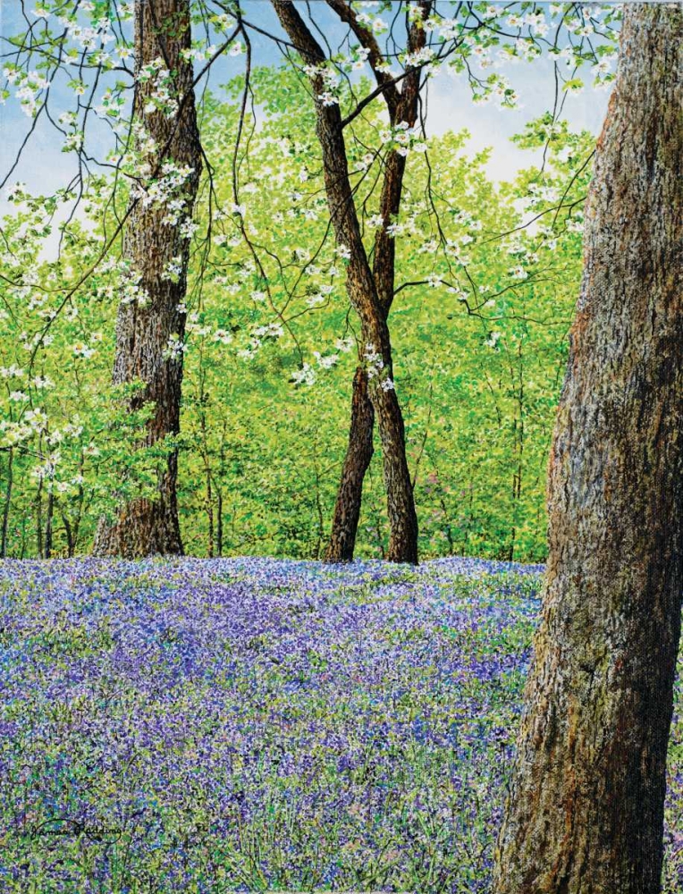Wall Art Painting id:159994, Name: Blue Bells, Artist: Redding, James