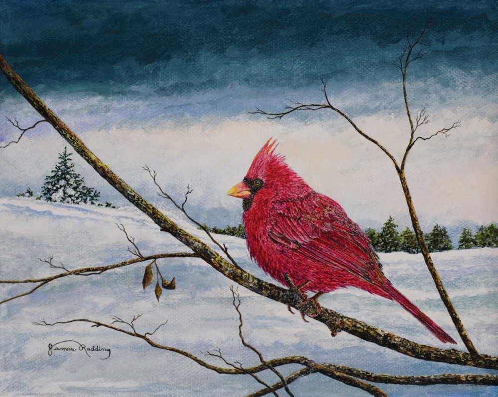 Wall Art Painting id:160006, Name: Cardinal In A Pastel Sky, Artist: Redding, James