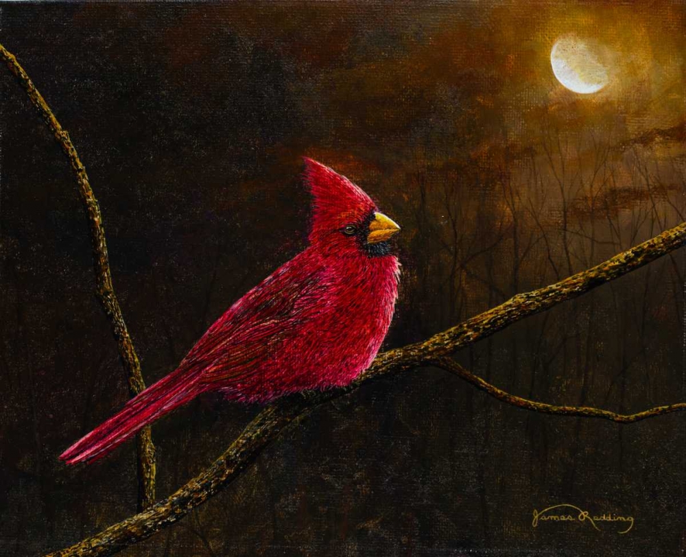 Wall Art Painting id:160004, Name: Cardinal In The Moonlight, Artist: Redding, James