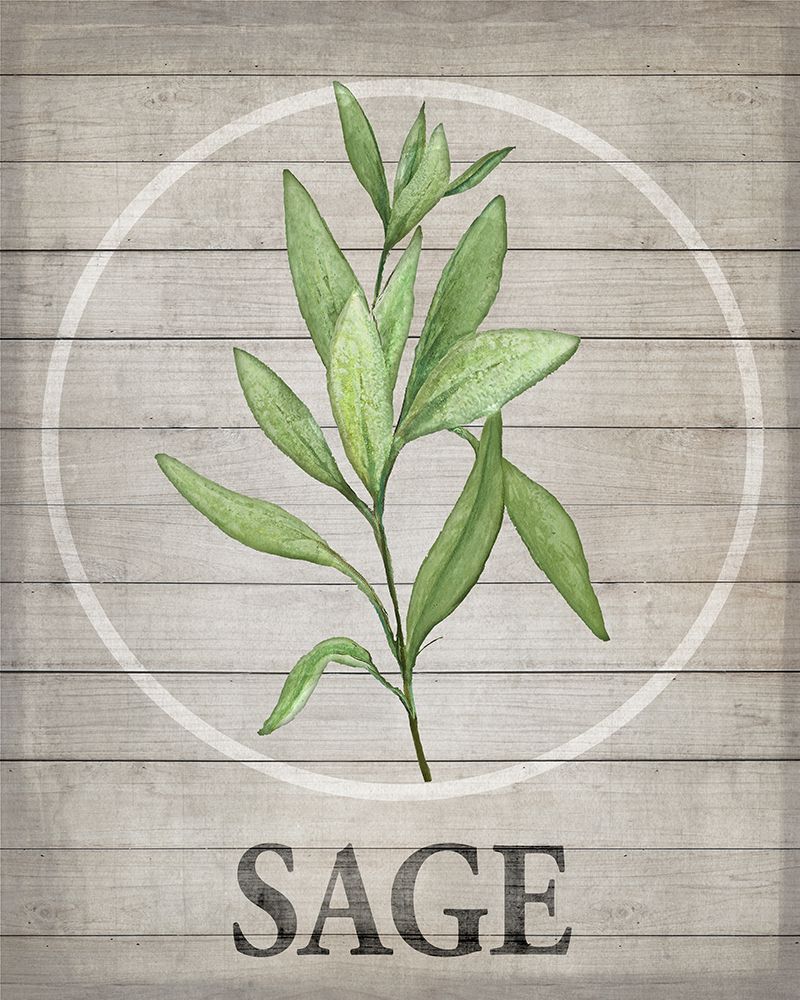 Art Print: Fresh Herbs on Wood III