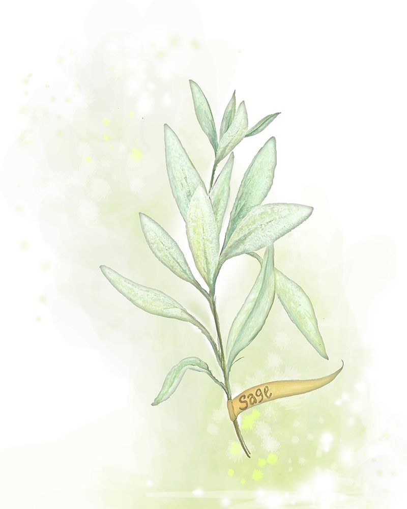 Art Print: Fresh Herbs III