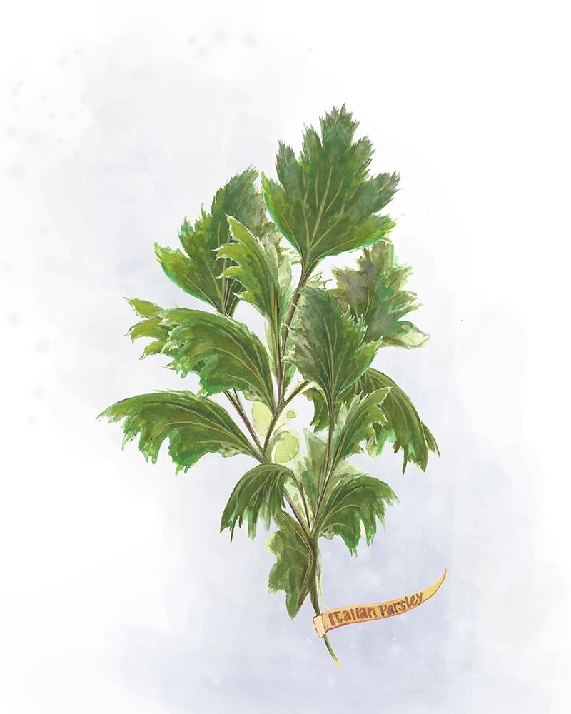 Art Print: Fresh Herbs I