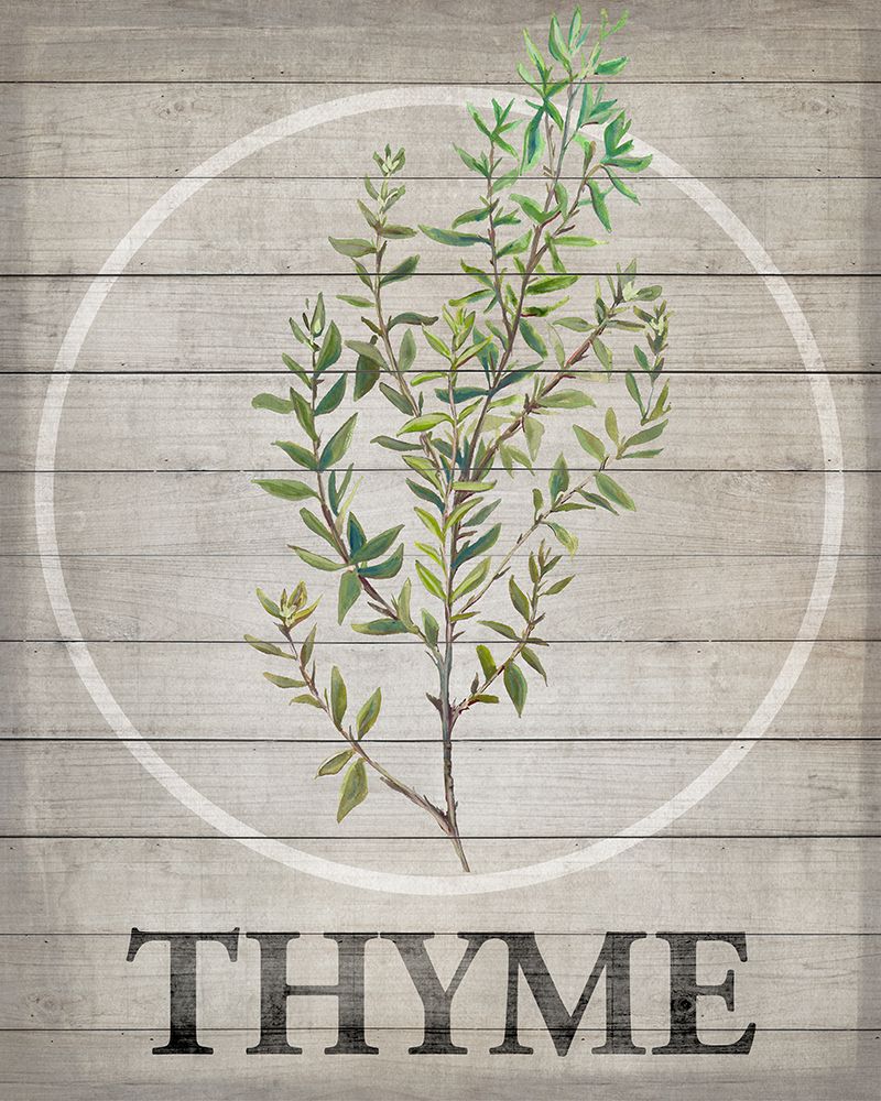 Art Print: Fresh Herbs on Wood IV