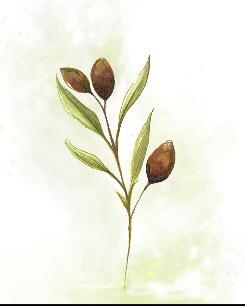 Art Print: Fresh Herbs VI