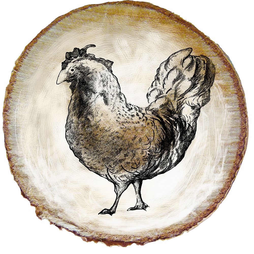 Art Print: Barnyard Coop Circle I