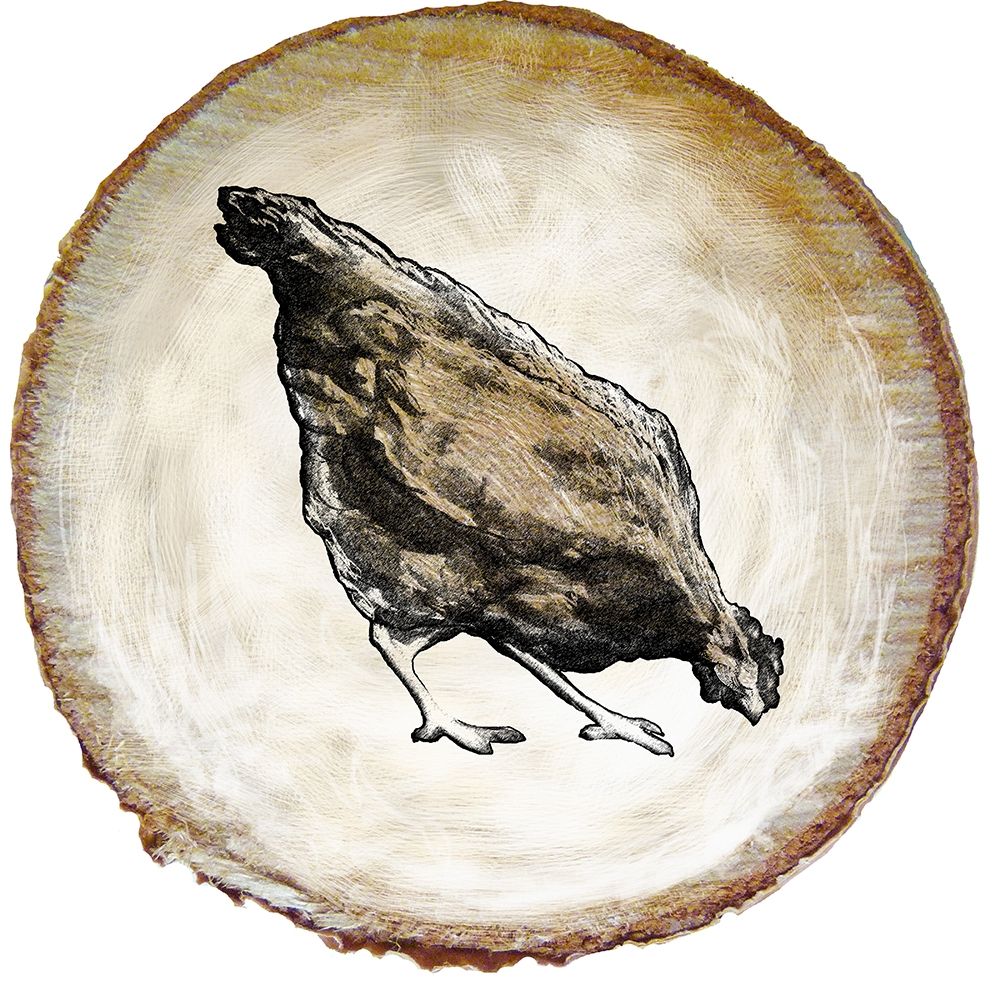 Art Print: Barnyard Coop Circle II